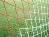 Afbeelding van  Doelnetten voor seniorendoelen clubkleuren ROOD & WIT