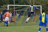 Afbeelding van Doelnetten voor kooi-vormige voetbaldoelen in clubkleuren BLAUW & GEEL