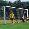 Afbeelding van Doelnetten voor kooi-vormige voetbaldoelen in clubkleuren BLAUW & GEEL