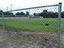 Afbeelding van  Leuning voetbalveld met raster