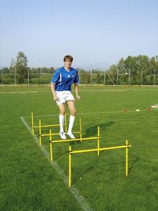 Afbeelding van  Evolutionaire kit 1