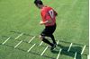Afbeelding van Dubbele loopladder