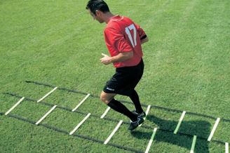 Afbeelding van Dubbele loopladder