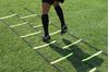 Afbeelding van Dubbele loopladder