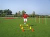 Afbeelding van  Multi jump training kit 4 x kegels + 2 x staven