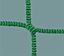 Picture of Filets buts Diablotins Vert 5,0x2,0x0,8x1,5m ép 4mm mail 12cm (Prix la paire)