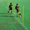 Afbeelding van  180cm slalomstok PVC punt