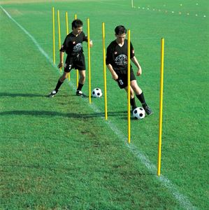 Afbeelding van  160cm slalomstok PVC punt