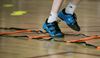 Afbeelding van Loopladder van 8m