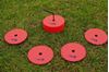 Picture of 24 disks rd Ø12,5cm