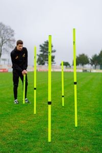 Picture of Piquet de slalom Lot de 5