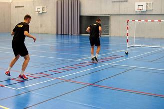 Afbeelding van Loopladder van 4m