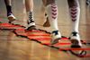 Afbeelding van Loopladder van 4m