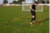 Afbeelding van Set van 4 behendigheidsladders van 2 meter