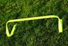 Afbeelding van  Set van 5 x vaste heggen 15cm