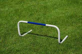 Afbeelding van  Set van 5 x vaste heggen 15cm