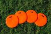 Afbeelding van  Set van 5 x vaste heggen 15cm