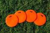 Afbeelding van  Set van 5 x vaste heggen 15cm