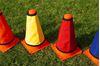 Afbeelding van  Set van 5 x vaste heggen 15cm