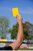 Afbeelding van PAIRE DE CARTONS POUR REMPLACEMENT KIT ARBITRE