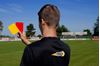 Afbeelding van PAIRE DE CARTONS POUR REMPLACEMENT KIT ARBITRE