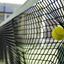 Afbeelding van Padelnet verstevigd competitie