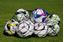 Picture of Filet porte ballons classic 12 ballons