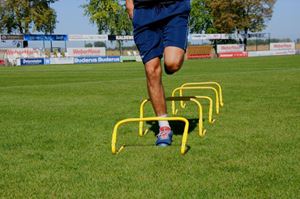Afbeelding van Set van 5 trainingshindernissen