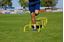 Afbeelding van Set van 5 trainingshindernissen