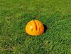 Picture of BASE DOME POUR PIQUETS DE SLALOM OU CERCEAUX