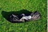 Picture of Ball bag for 4 balls