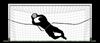 Afbeelding van  Tchoukball training - Rebound net