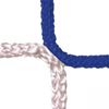Afbeelding van  Doelnetten voor seniorendoelen clubkleuren BLAUW & WIT