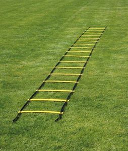 Image de Coordination Ladder 8m