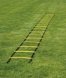Picture of Coordination Ladder