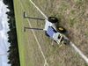 Afbeelding van Elektrische belijningswagen "SPORTI-LINER"