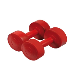 Paire d'haltères ciment 3kg