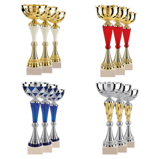 Lot de 12 coupes N°2