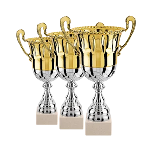 Lot de 3 coupes