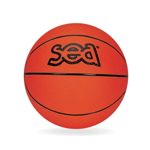 Ballon de basket Futur Champ