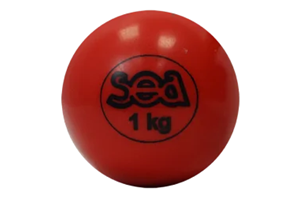Balle lestée souple 1kg