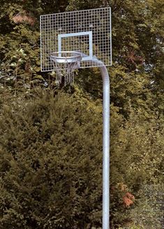 Streetball Unit Court Royal Heavy Duty avec panneau arrière en grille