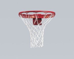 But de Streetball Flex 30