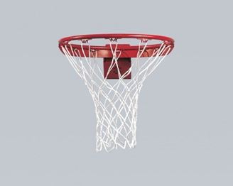But de Streetball Flex 30