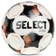 Futsal Master - White/Orange / official size