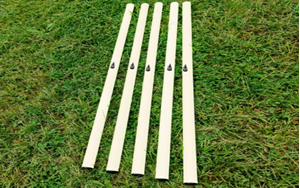 Image de Lot de 5 jalons blanc 160cm