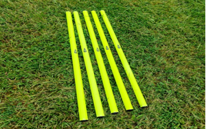 Image de Lot de 5 jalons jaune 160cm