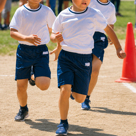 Image de la catégorie Scolaire