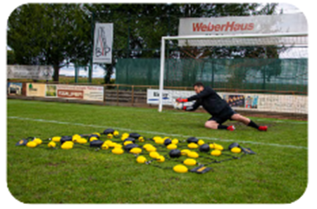 Afbeelding voor categorie Training
