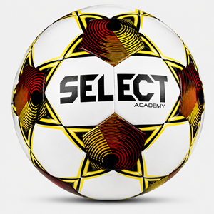 Picture of DIABLO 5